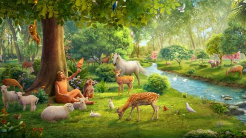 genesis,Alle dingen die door God zijn geschapen,God schiep vanaf allereerste begin