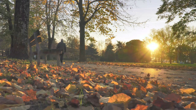 Het zesde kruispunt: de dood