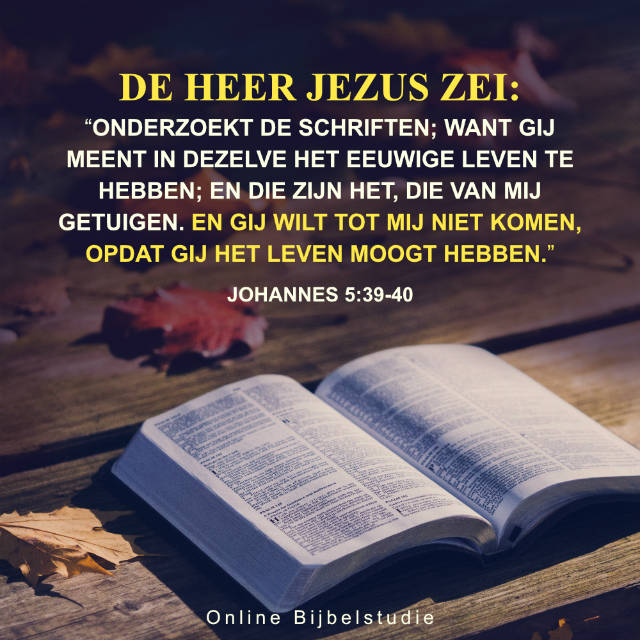 Bijbeltekst plaatjes: Onderzoek de Schriften