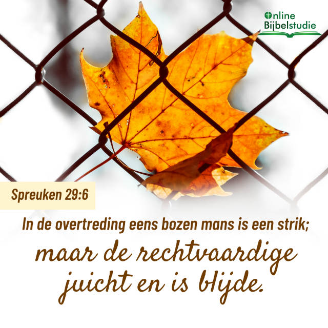 Bijbeltekst plaatjes – Spreuken 29:6