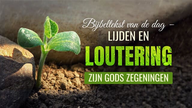 Bijbeltekst van de dag – Lijden en loutering zijn Gods zegeningen