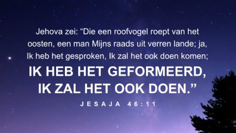 Bijbeltekst van de dag – Gods gezag