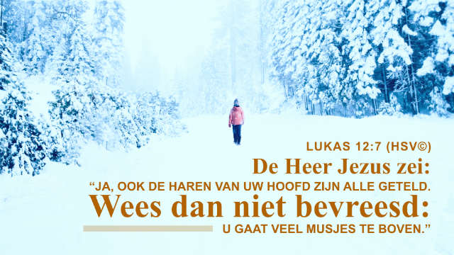 Bijbeltekst van de dag – Lukas 12:7
