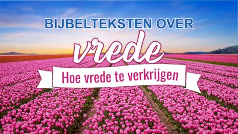 bijbeltekst vrede, bijbelteksten over vrede, vrede in de bijbel