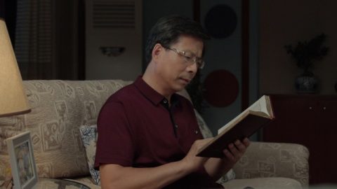 Inzichten verkregen uit het verhaal van de antilope kudde die van een klif is gesprongen