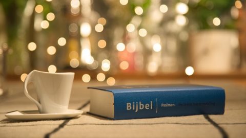 Hoe moet iemand de Bijbel benaderen in overeenstemming met Gods wil?