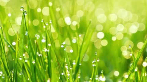 Alleen hij die het werk van God ervaart, gelooft echt in God