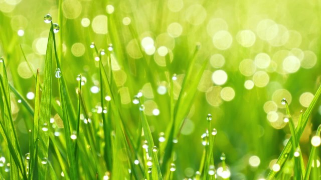 Alleen hij die het werk van God ervaart, gelooft echt in God