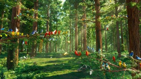 God heeft ook grenzen getrokken voor de verschillende vogels en dieren, vissen, insecten en alle planten