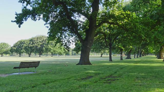 God zorgt voor een balans in de relatie tussen alle dingen om de mensheid een stabiele omgeving voor overleving te geven