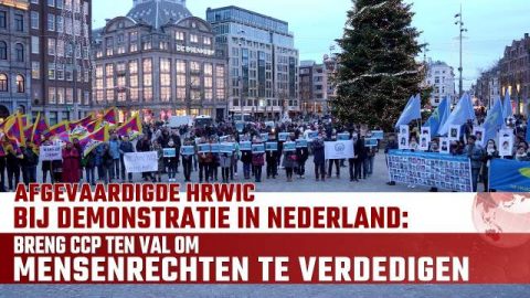 _Afgevaardigde HRWIC bij demonstratie in Nederland