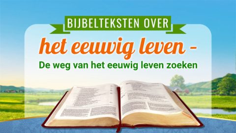 Bijbelteksten over het eeuwig leven – De weg van het eeuwig leven zoeken