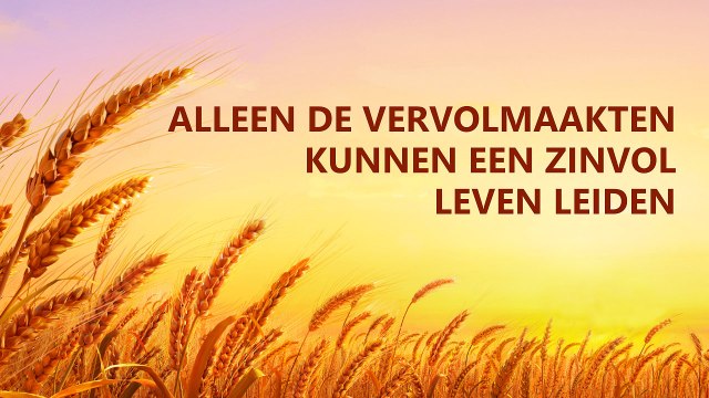 Alleen de vervolmaakten kunnen een zinvol leven leiden