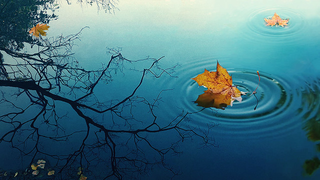 Waarom sloten de joden zich bij de farizeeën aan in hun verzet tegen de Heer Jezus?