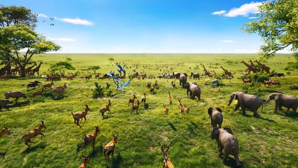 Op de zesde dag spreekt de Schepper en elk soort levend schepsel in Zijn geest maakt zijn opwachting, de een na de ander