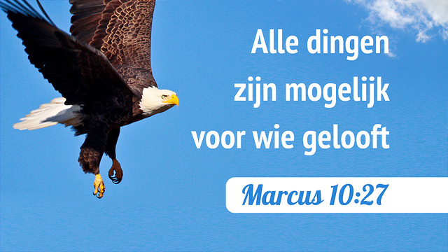 Alle dingen zijn mogelijk voor wie gelooft – Marcus 10:27